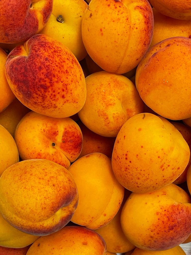 abricots du pays coupés